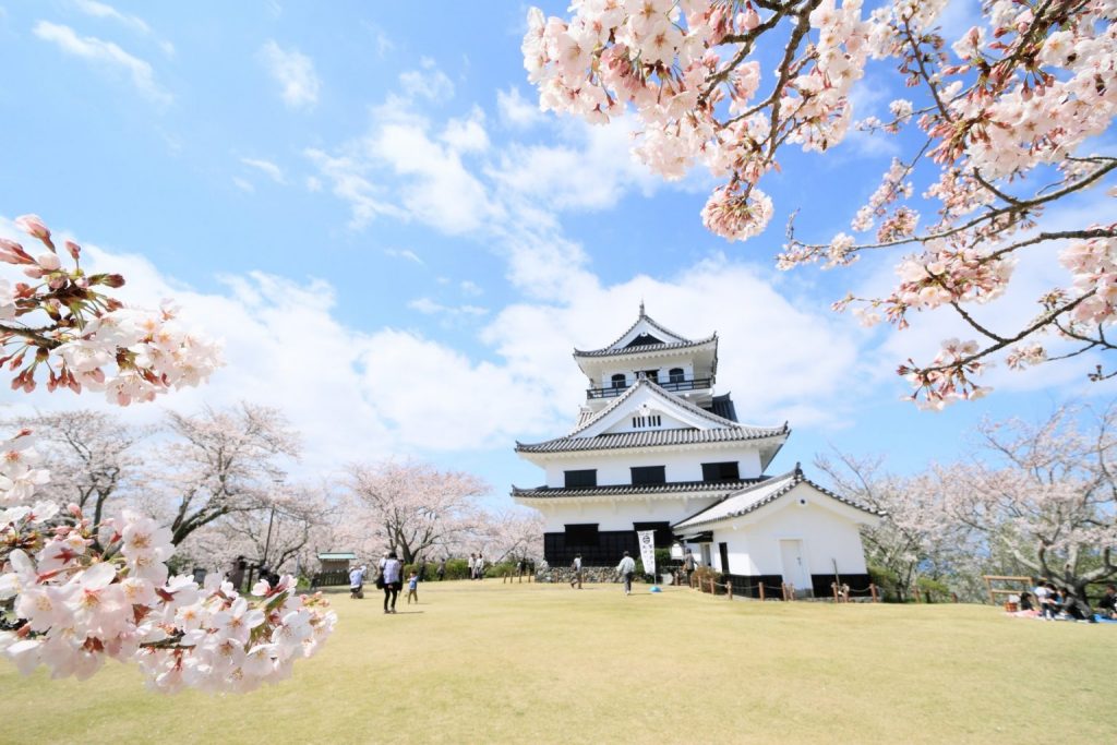 お城の白壁と桜のピンクが青空に映える絶景フォトスポット
