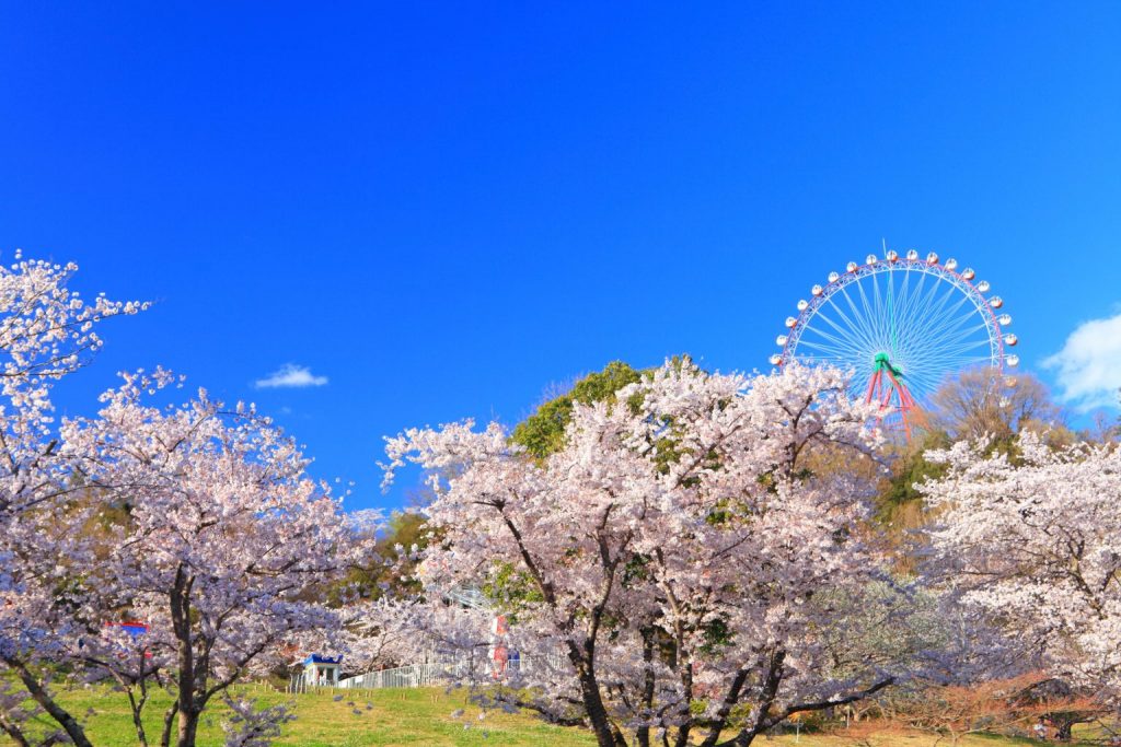 観覧車に乗りながらお花見が楽しめる「さがみ湖リゾートプレジャーフォレスト」