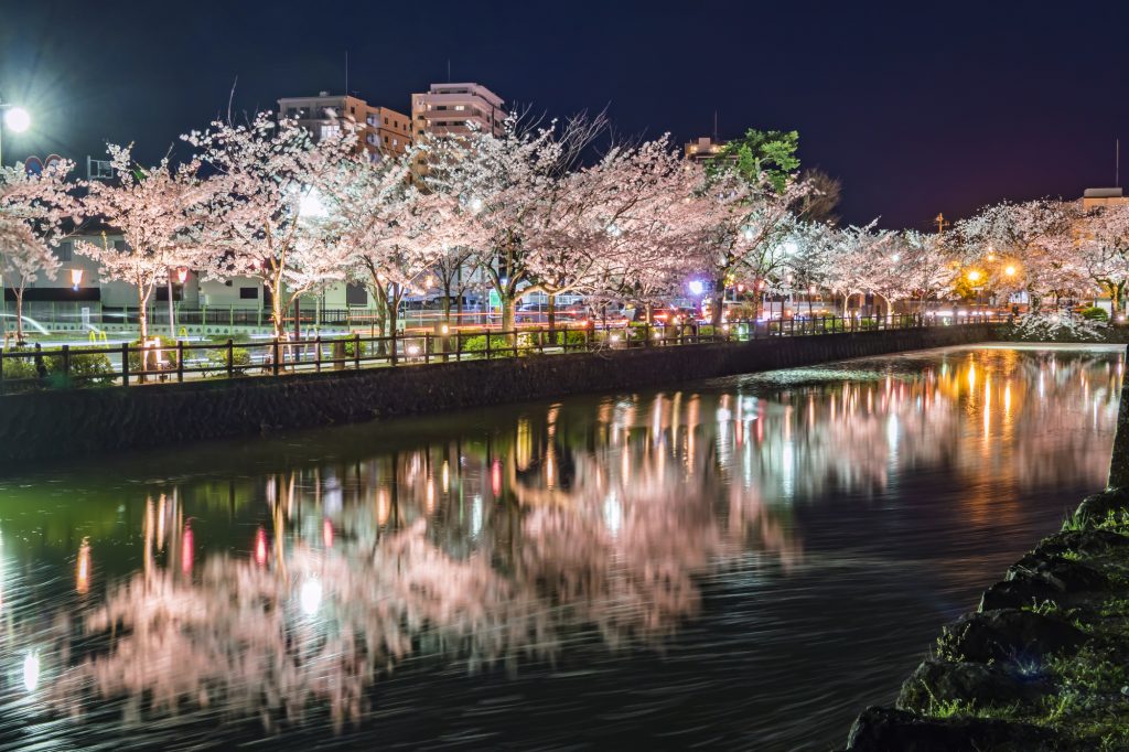 夜はライトアップされた堀端を散策したい