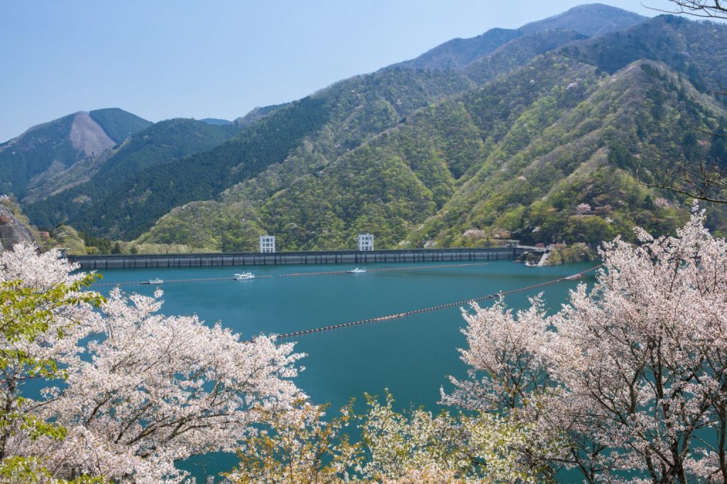 エメラルドグリーンの湖面に映える桜