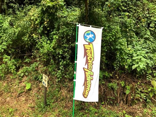 無料駐車場からはこの旗を目印に進みます