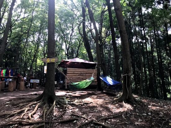 椅子やテーブルのほかにもハンモックの休憩所もあります