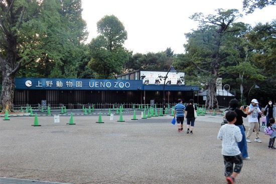 上野恩賜公園と言えばやっぱり「上野動物園」