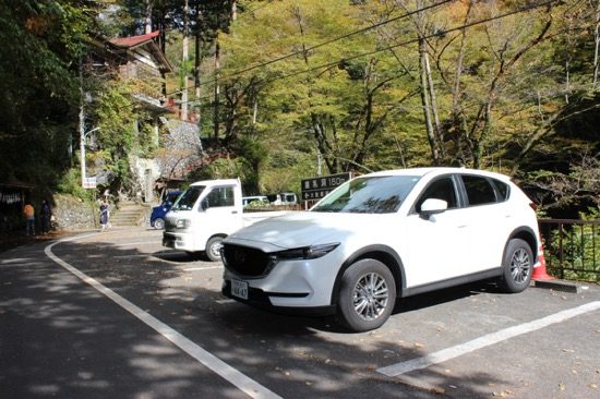 休日は駐車場が混むので午前中に到着するのがおすすめ