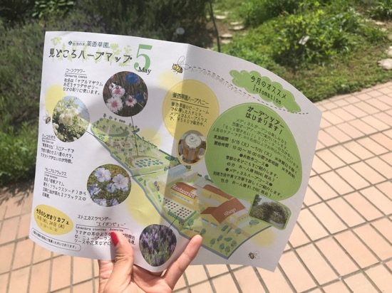 ハーブマップを手に入れよう