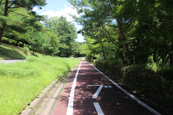 サイクリングコースは1周17km。四季折々の植物を見ながら走れる