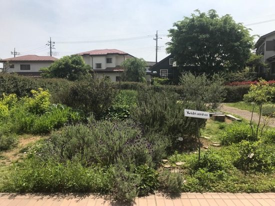 のどかな雰囲気のハーブ園