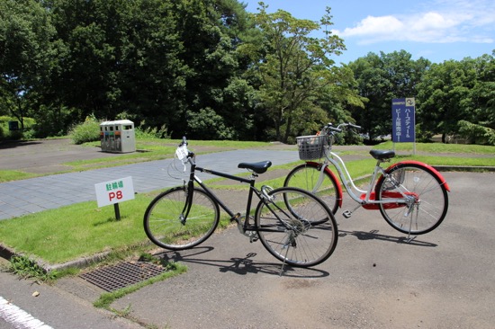 園内には駐輪場がたくさんあるので、自転車で移動しながら楽しめる