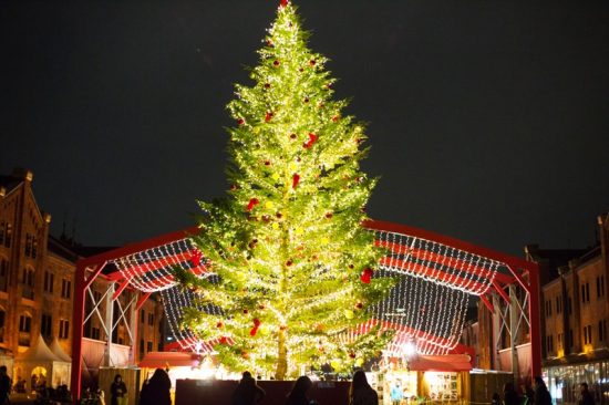 巨大なクリスマスツリーが目をひく