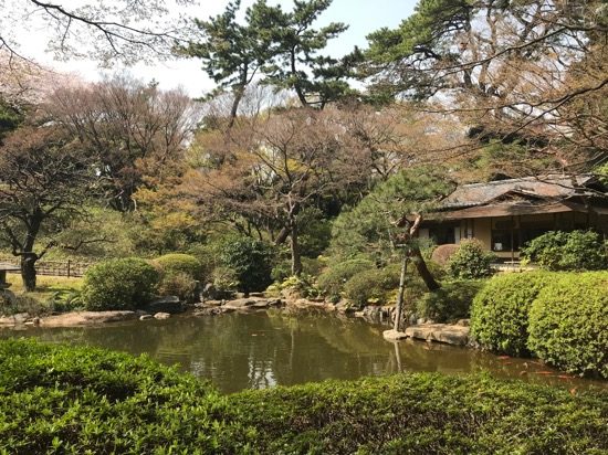 趣のある日本庭園