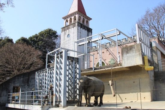 アジアゾウの家はまるでお城のようなデザイン