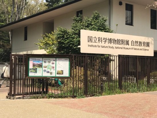国立科学博物館付属 自然教育園