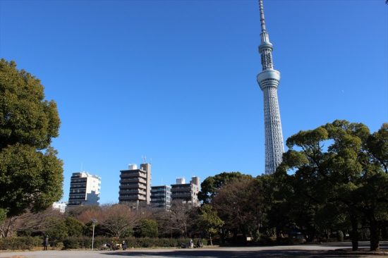 桜の名所として知られており、春になると景色はピンク色に染まる