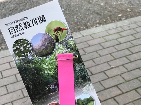 入園中はピンクのリボンを着けましょう
