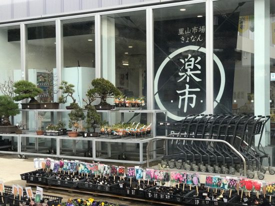 地元の花や野菜が並ぶ