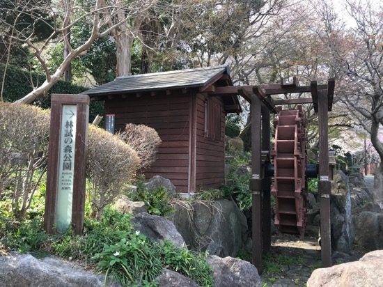 林試の森公園の入り口には水車がある