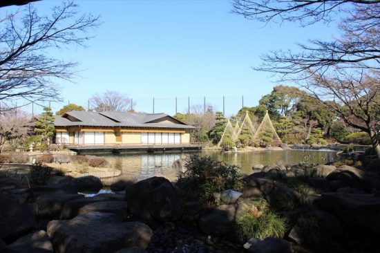 池に浮かぶように建っているのが源心庵。利用は予約制