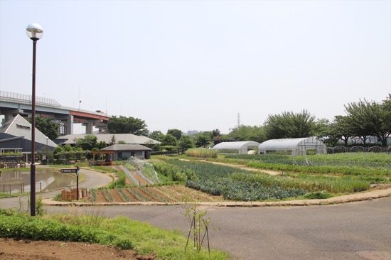 園内を進んでいくと池や田んぼ、畑が広がる。まさに「都市農業公園」といった趣