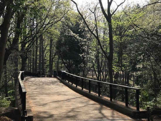 自然が多いので空気も新鮮