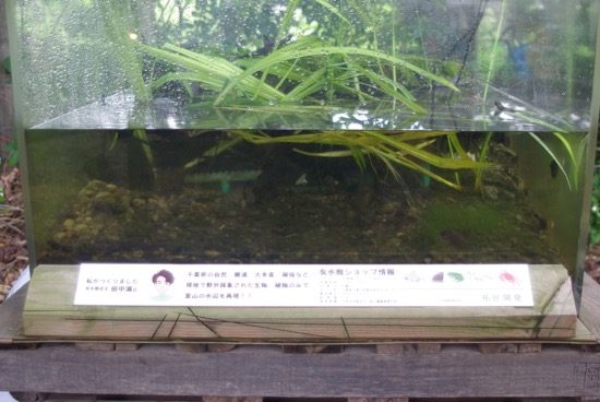 鑑賞魚専門店「友水館」プロデュースの小さな水族館