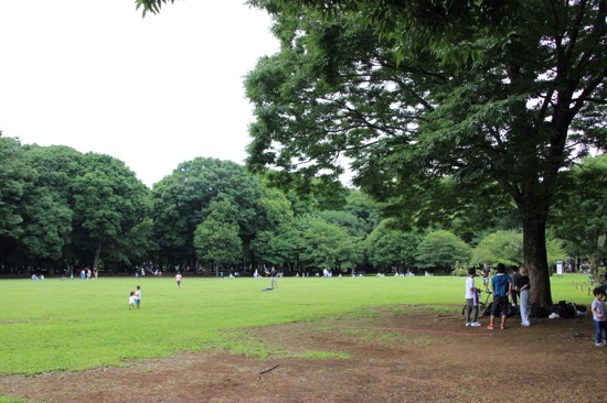 カップルでもファミリーでも楽しめる砧公園は、駐車場もあるので出かけやすい