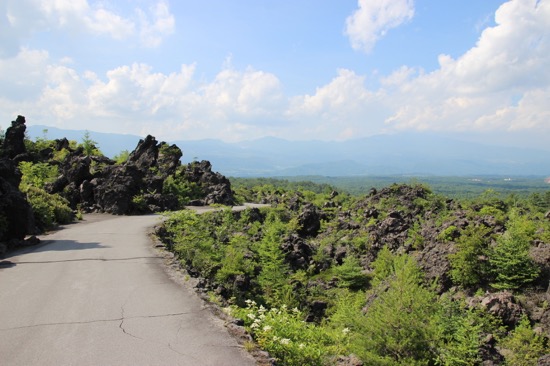 「高山植物観察コース」や「奥の院参道コース」などいくつかのコースで園内を楽しめる