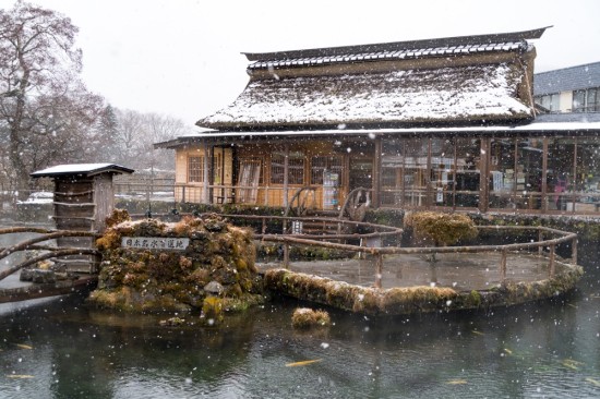 こちらは人工の「中池」だが水質は一緒。水深は8mもあるが、底まで見渡せるほど水は透明