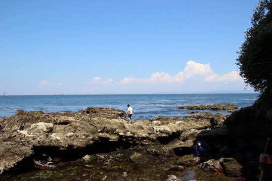 階段を降りていくと海辺に出られる。縄文・弥生時代の貝塚も見られた