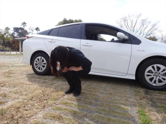 屈伸なども簡単にできる運動