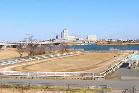 乗馬体験ができる広場。この時は残念ながら馬たちの休み時間でした