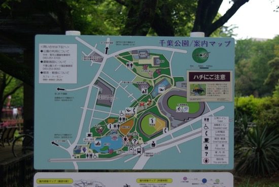千葉公園の案内マップ