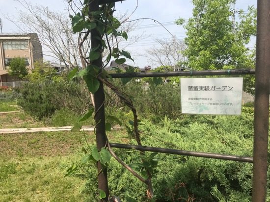 蒸留実験ガーデンのアーチ