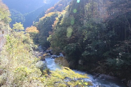 日原川渓流釣場では渓流釣りの醍醐味を楽しめる