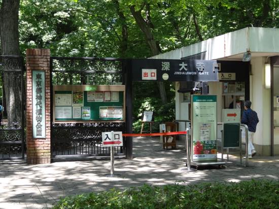 緑いっぱいの神代植物公園では四季折々の花や植物が楽しめます