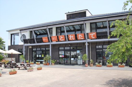 「キッチンとれたて」で、園内でとれた野菜を食べよう。荒川を眺められる景色のよさも魅力的