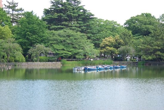 ボートに乗って千葉公園を満喫