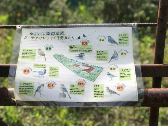 野鳥とも出会える
