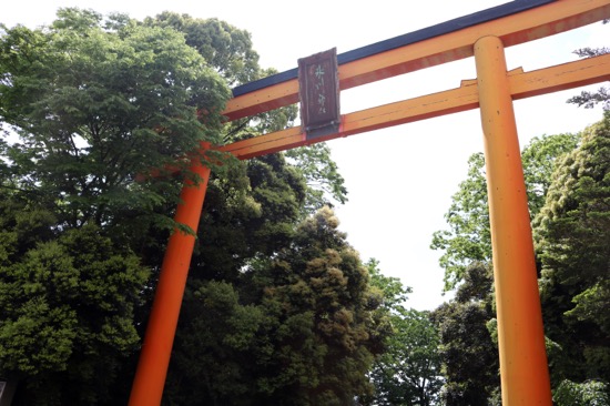 神社の入口にある15メートルもの高さを誇る大鳥居は日本一の大きさ！