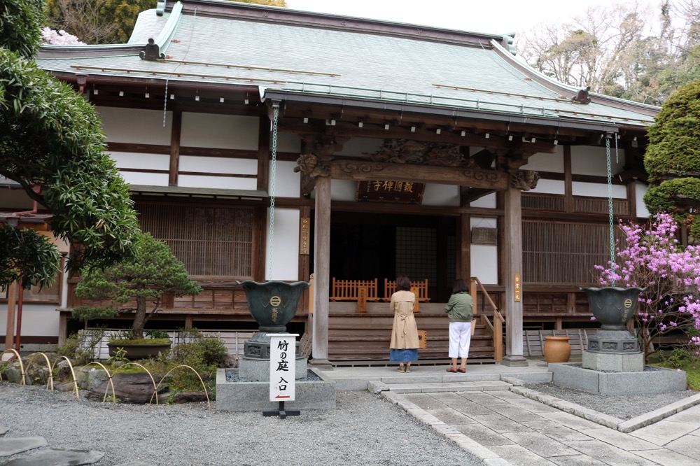 報国寺の本堂で参拝