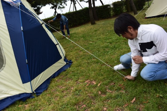 張りロープをペグで固定する
