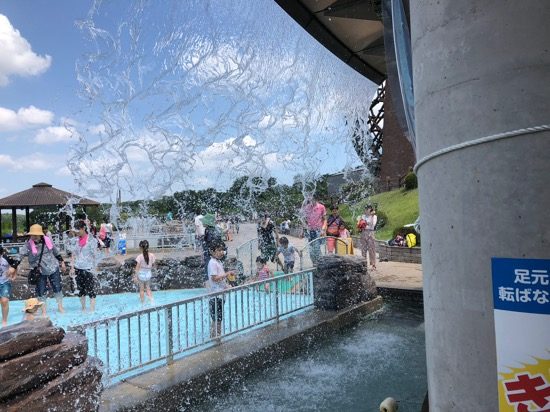 園内数か所で水遊びできます