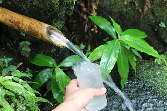 バーベキュー会場には綺麗な湧水も。