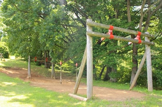 ぶら下がって遊べるアスレチックも