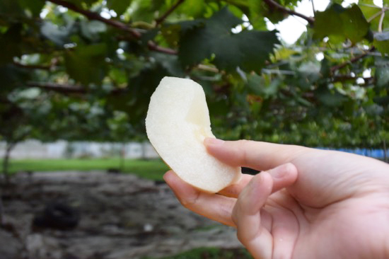 みずみずしい梨の味が口いっぱいに広がる