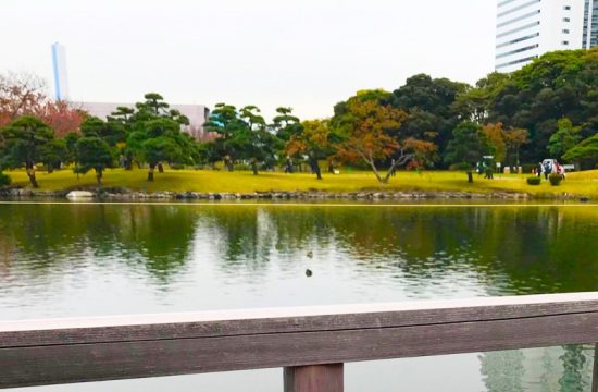 外の席からは潮入の池を眺められる