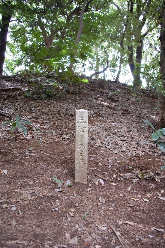景勝地に建てられた石柱。園内には通行不可の場所もあるので、全石柱を見つけるのは難しい