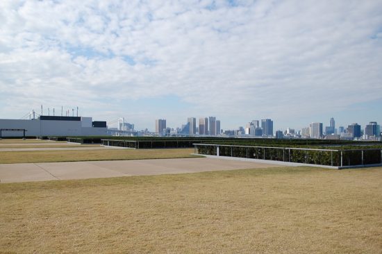 天気が良ければ、晴海埠頭の先にある都心のビル街を眺めることができます