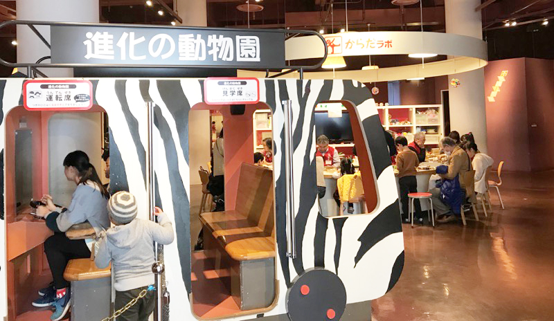 「からだの部屋」では人体だけでなく動物についても学べる。