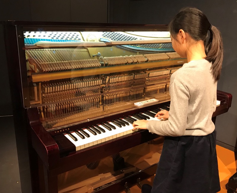 音が鳴る仕組みが見えるピアノ。背面からも観察できる